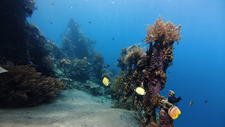 Japanese Wreck — shallow wreck with rich reef life