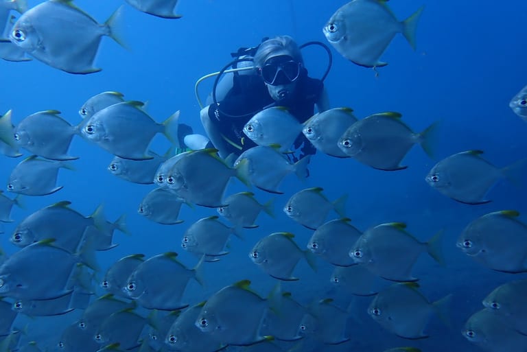 Jemeluk Bay — calm shore entry and easy conditions
