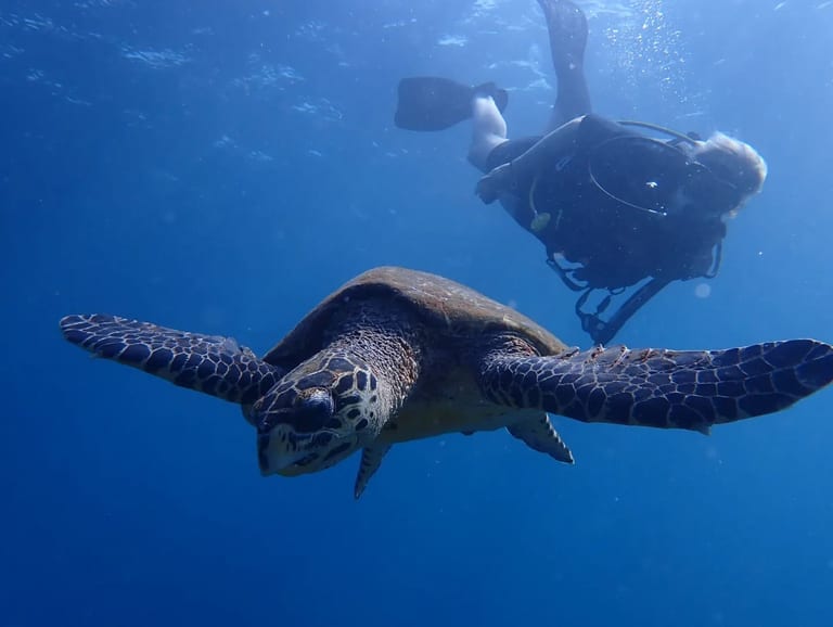 Lipah Bay — easy shore access and clear water