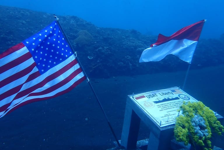 USAT Liberty Wreck — soft corals and rich marine life