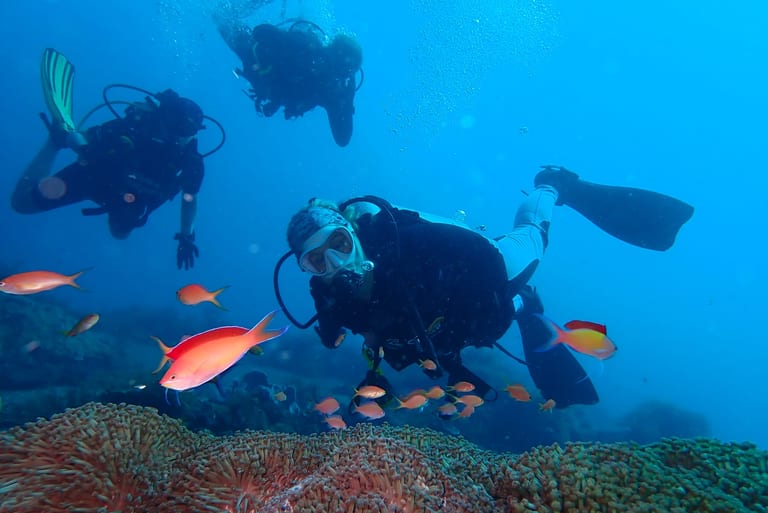 Beginner-friendly discovery dive in calm, shallow water