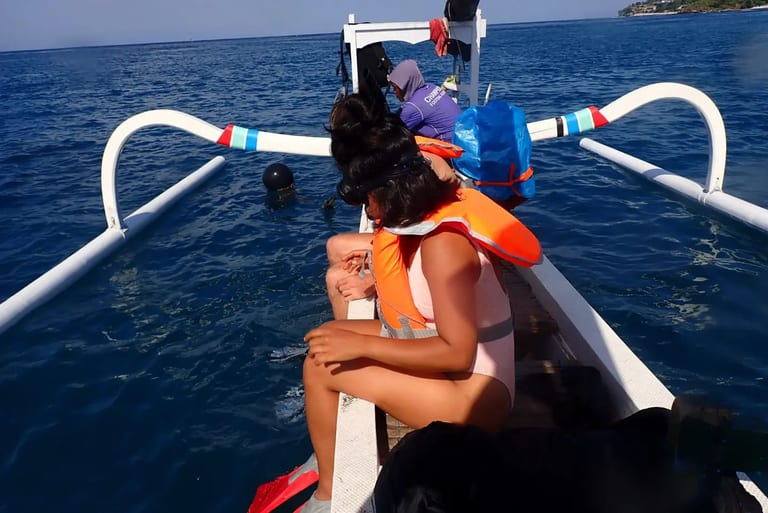Snorkeling tour over coral gardens with frequent turtle sightings